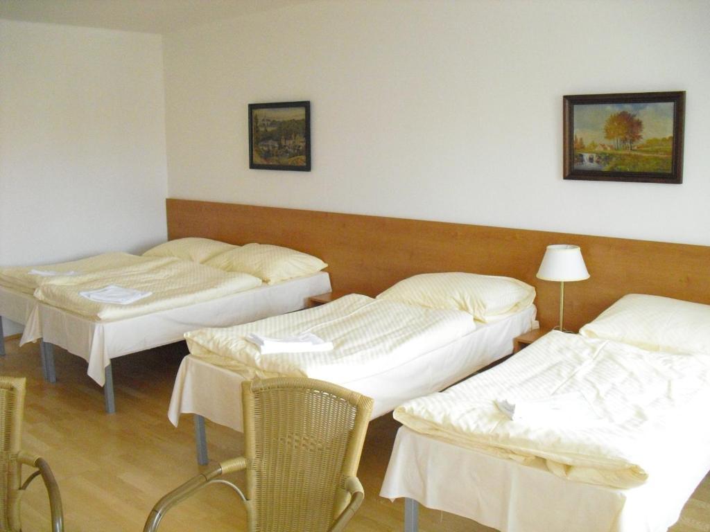 Mestsky Hotel Dorinka Hostinne  Room photo